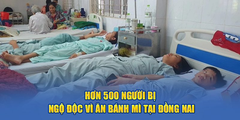 Hơn 500 người bị ngộ độc vì ăn bánh mì tại Đồng Nai